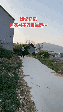 回农村就不用晨跑啦……