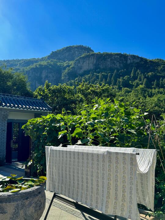黄帝内经：中医世家女分享三伏养心·补气血🌸