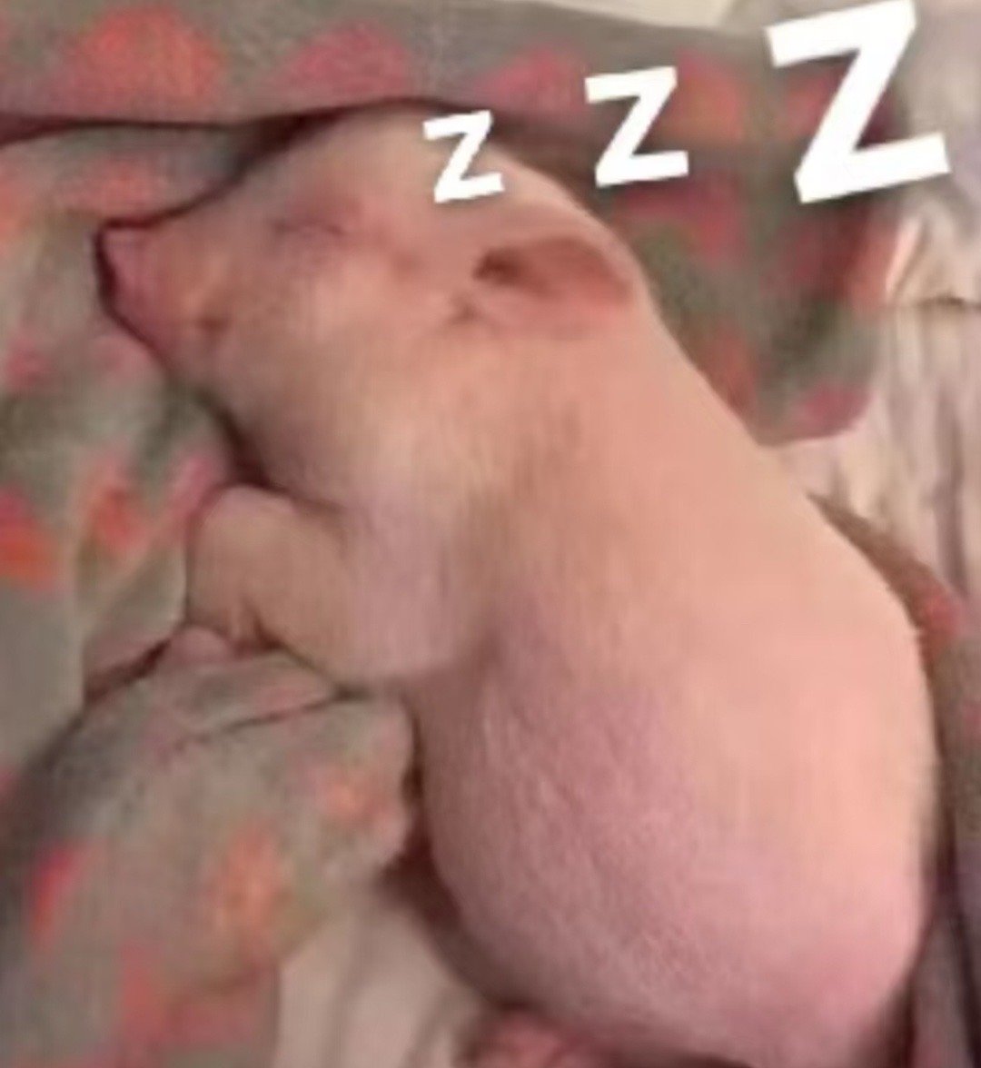 晚安啦明天要干活啦！！！ 