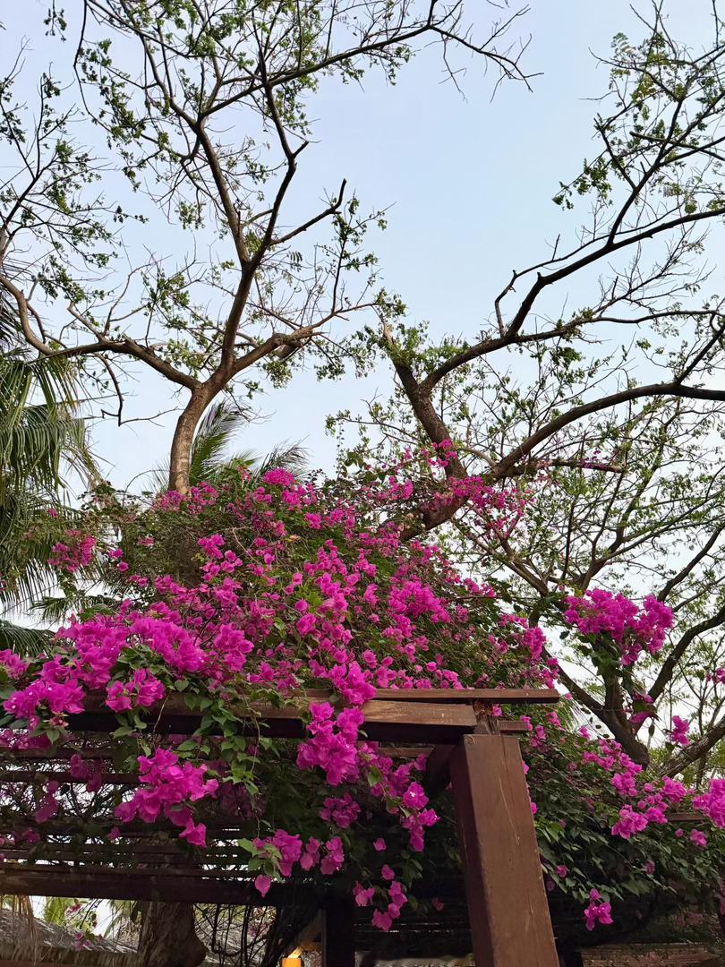 🏝️起飞前更一下～～ 三亚
