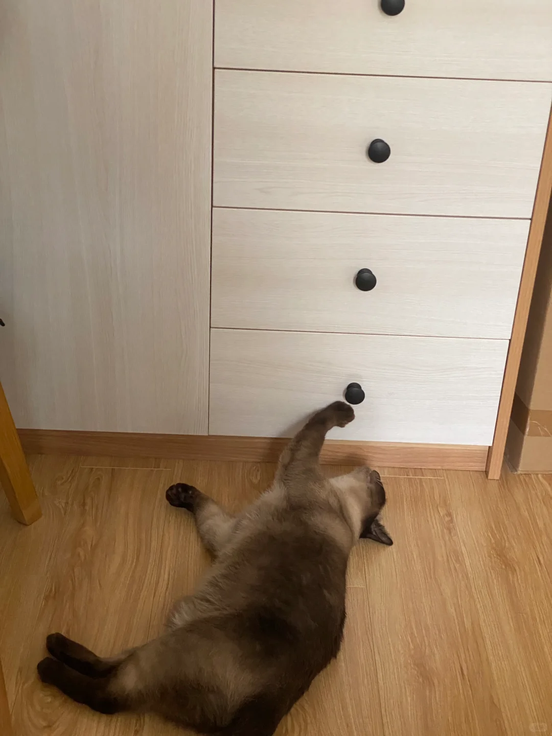 这是衣柜，不是你们的零食柜！