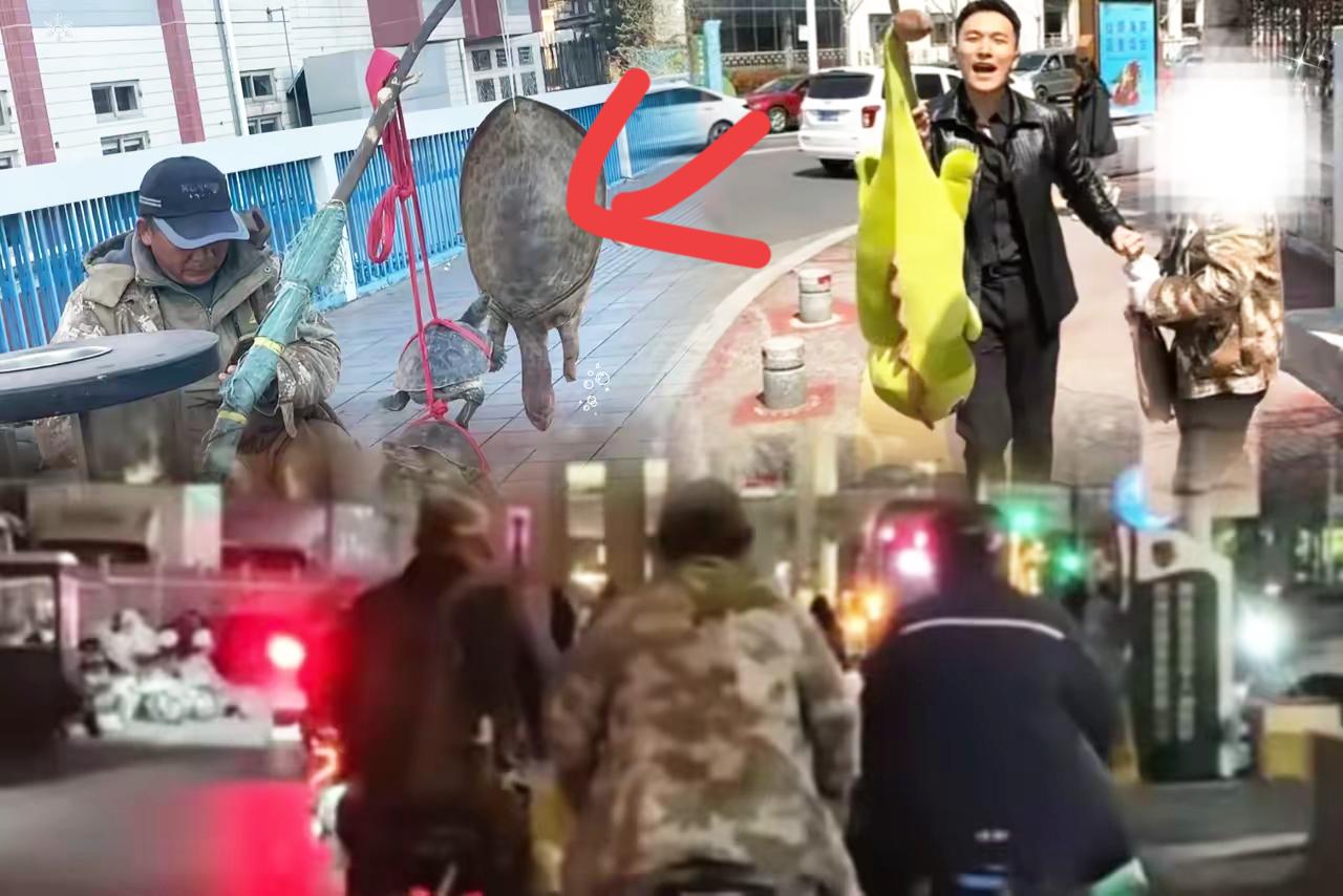 蹲守一天才扒清！
路边拎王八的迷彩大爷，
压根不是卖货的，全是团伙套路！
路口常