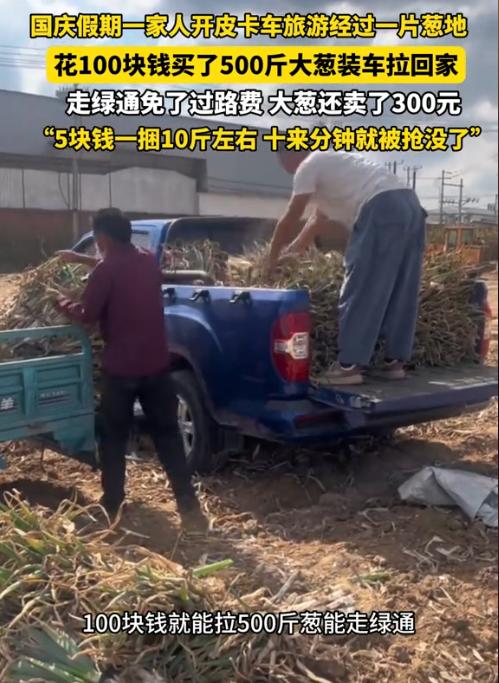 “赚发了！”北京一男子开车出去游玩，路过一片大葱地，只要2毛/1斤，男子高兴坏了