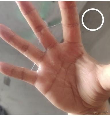惊悚！
在郊外，我和闺蜜去上厕所。
那厕所不但肮脏的要死，而且还好像是新修复的样