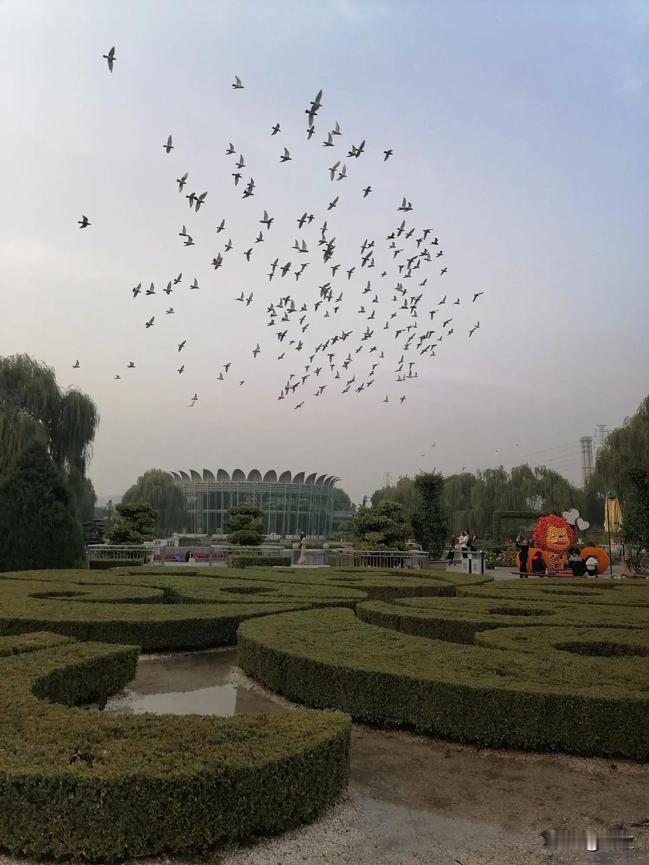 #北京公园旅游# 
周日出来走走，融入自然，感受大自然淳朴的气息，是非常惬意的事