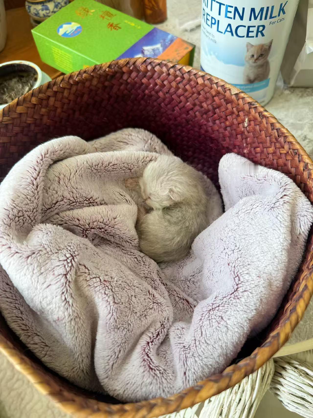 站在垃圾桶前，旁边就有人让我不要管了，管不过来的，我也知道不管是对我好，但谁又能