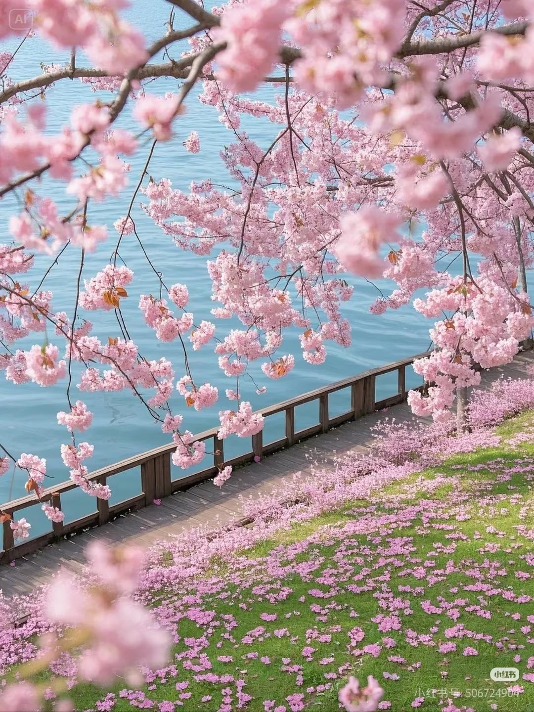 你不优秀，靠谁都没用，对不对？
这句话，听起来像是一记重拳，直接击中了我们内心最