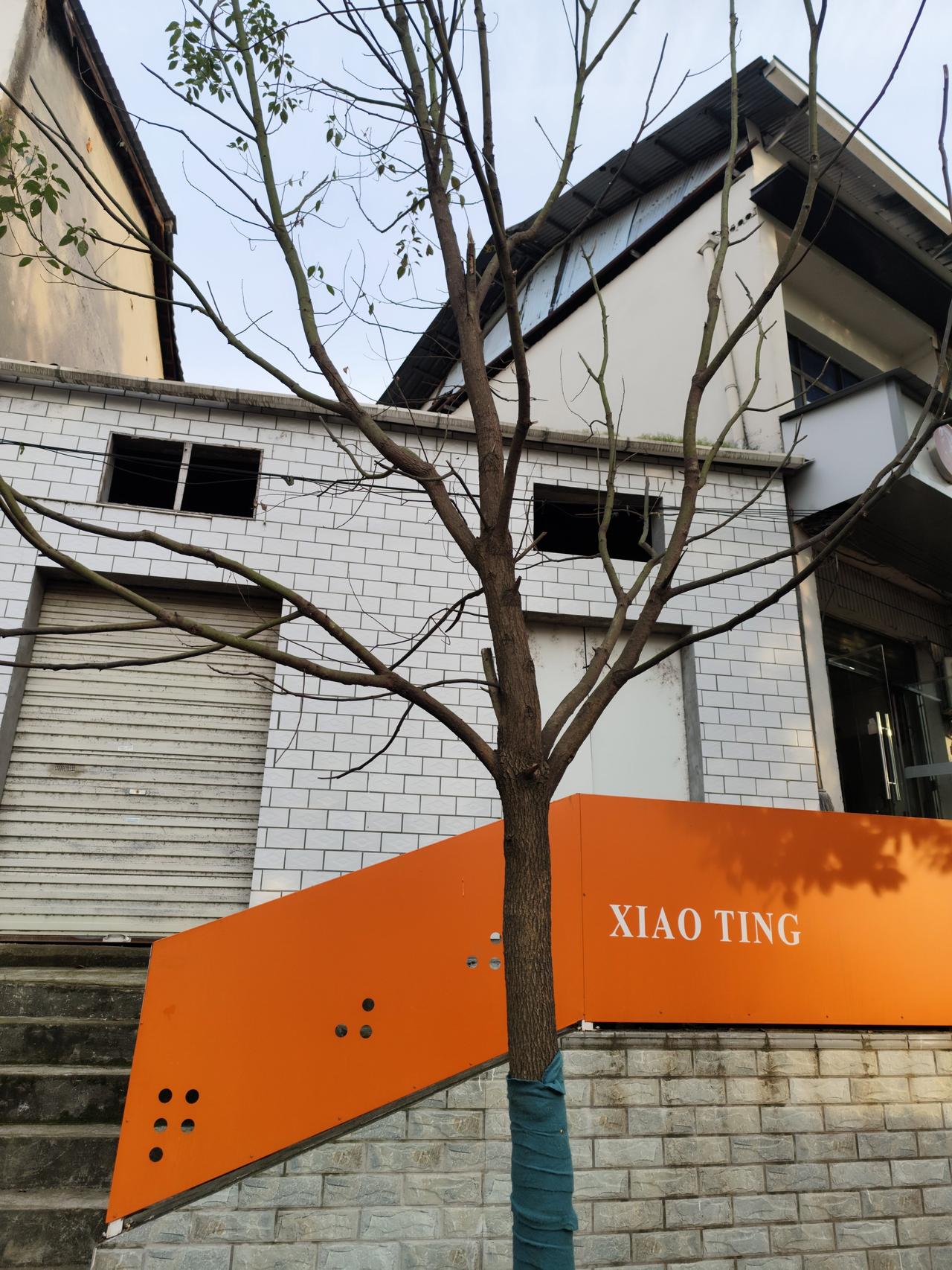 国内民办大学交了钱也许还能混的过去，德国大学易进难出，毕业证可不好拿，岂不是哄骗