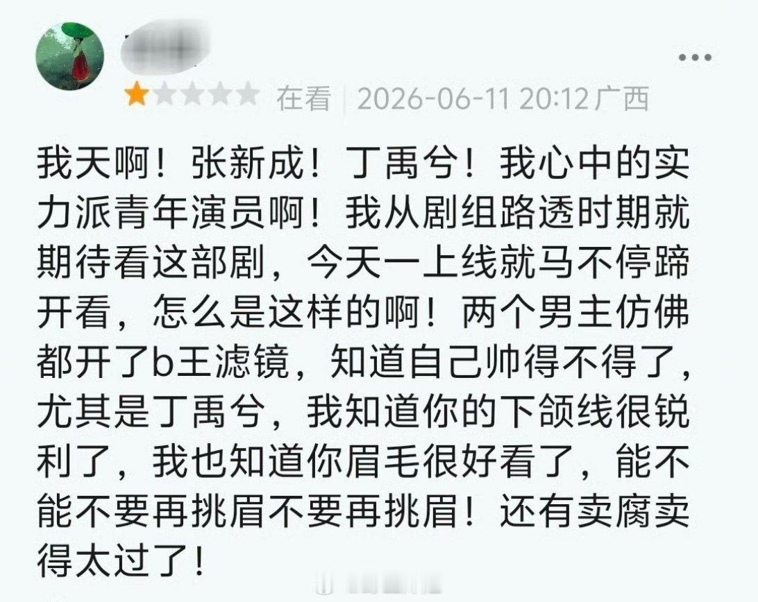 丁禹兮跟张新成主演的《南部档案》今晚空降首播，但是好像大家的评价很一般啊，配音、