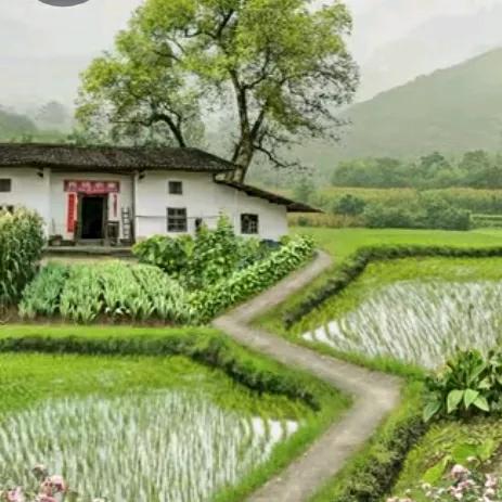 庆华哥的媳妇离了婚走掉了。他俩结婚还不到一年呢，连个孩子都没生。
庆华哥的媳妇长