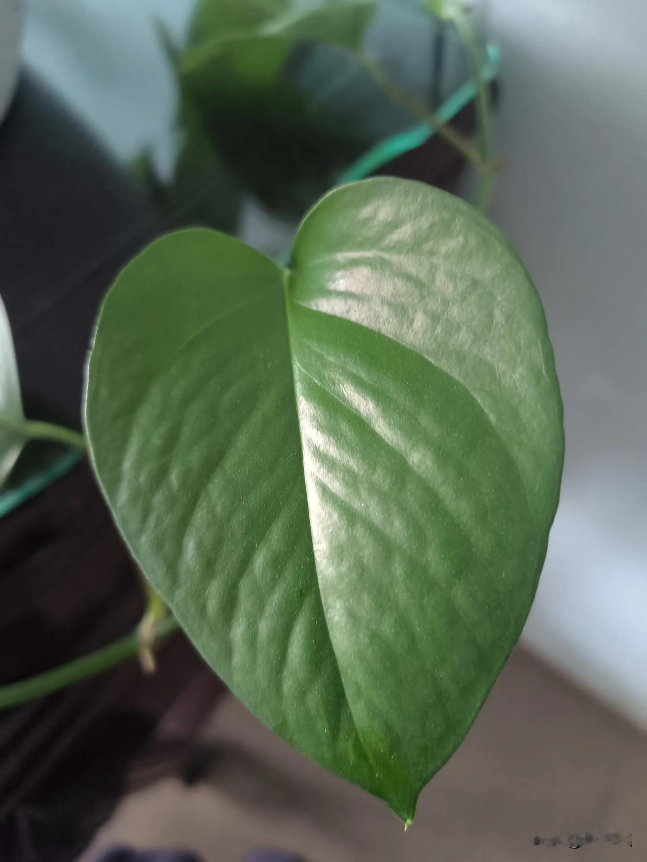 人这一生，都在为自己的选择承担代价
纵有万般悔与憾，却无光阴能重来
人生最深的无