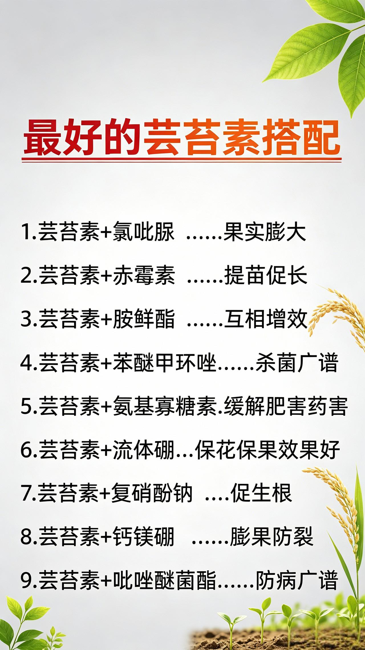 农业种植 增产增收 调节剂 芸苔素