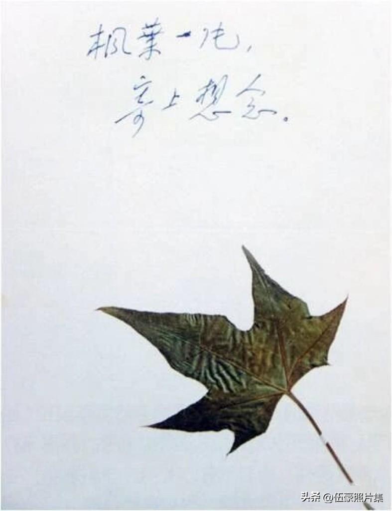 【周总理历史上的今天——5月30日】
1954年5月30日，周恩来总理收到邓颖超