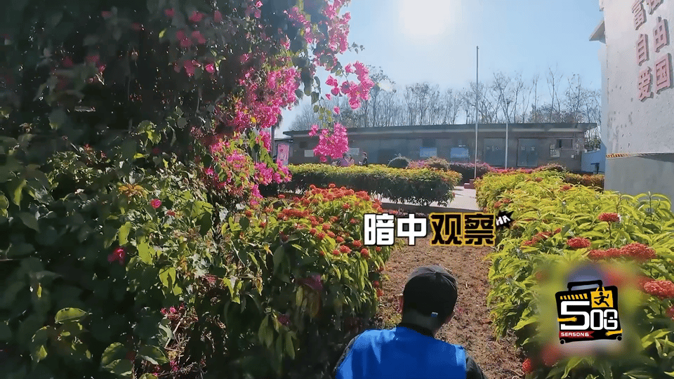 五哈初代跑男感觉回来了 这才是我想要的“吃鸡游戏”，紧张又搞笑，马頔的“伏地魔”