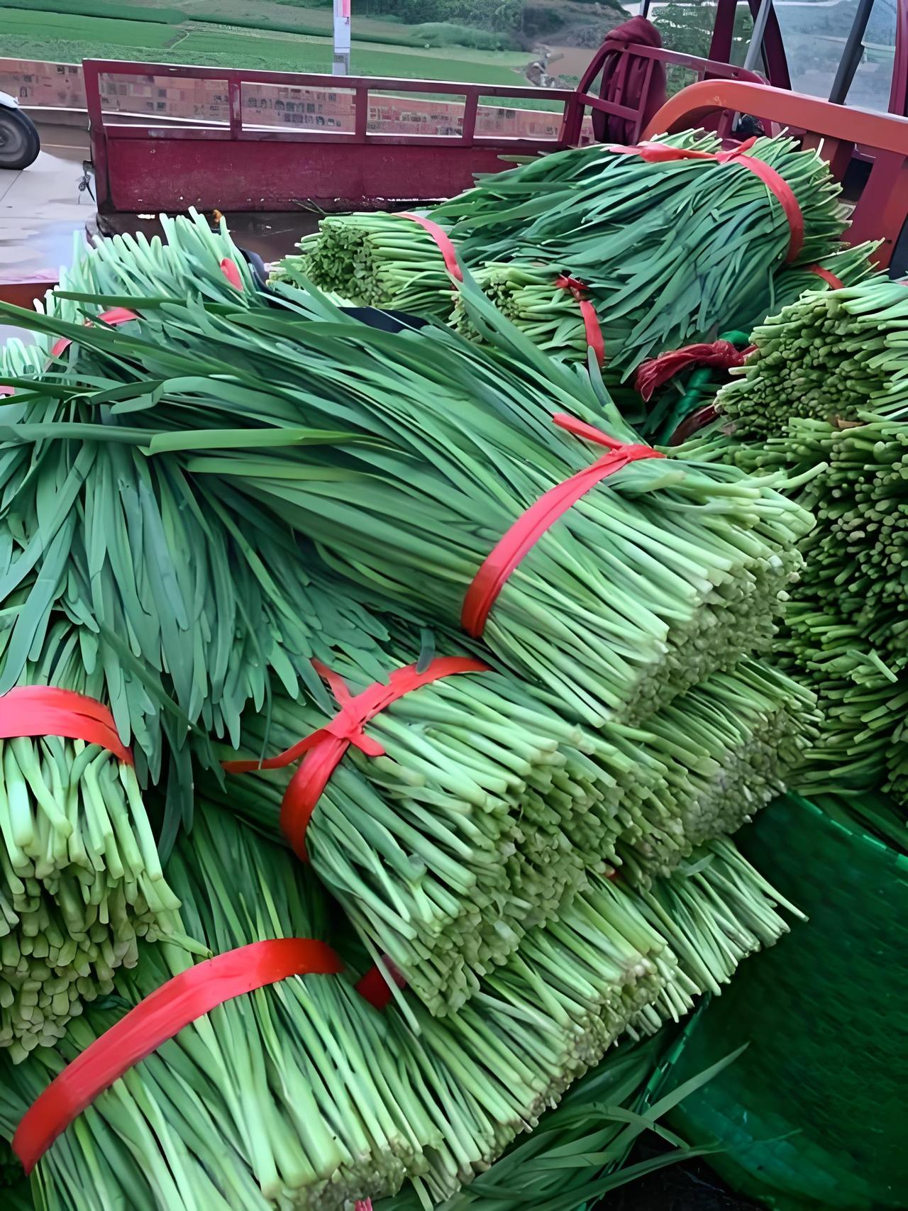 人遇到尴尬的事，比大庭广众之下掉了裤子都还尴尬，有一次，老婆给我10块钱，让我去