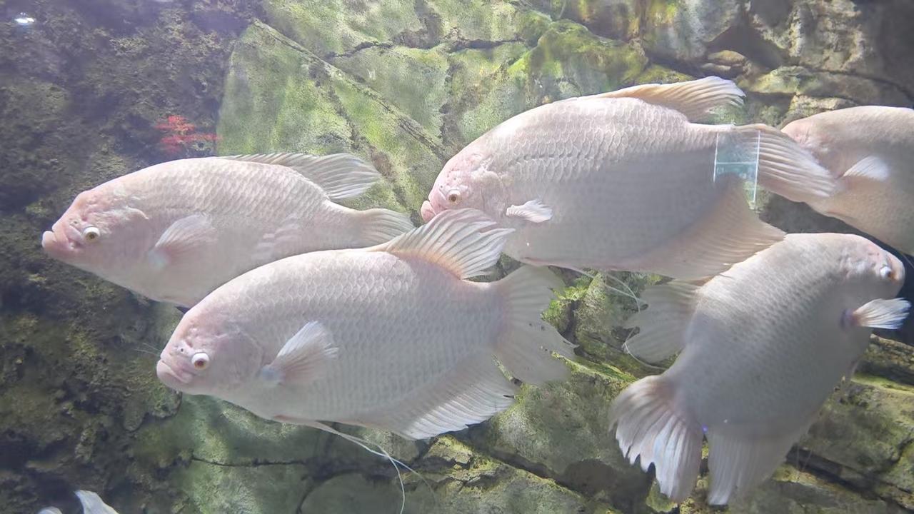 真的不知道怎么回事，2026年2月11日认识了一个大我4岁的女生，聊到了现在，一