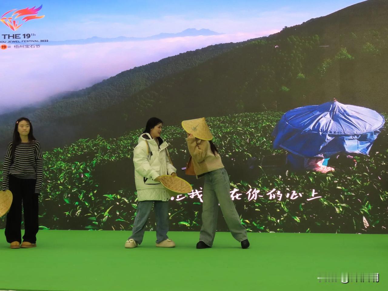 打卡宁波茶博会，感受绿意盎然的茶园美景！