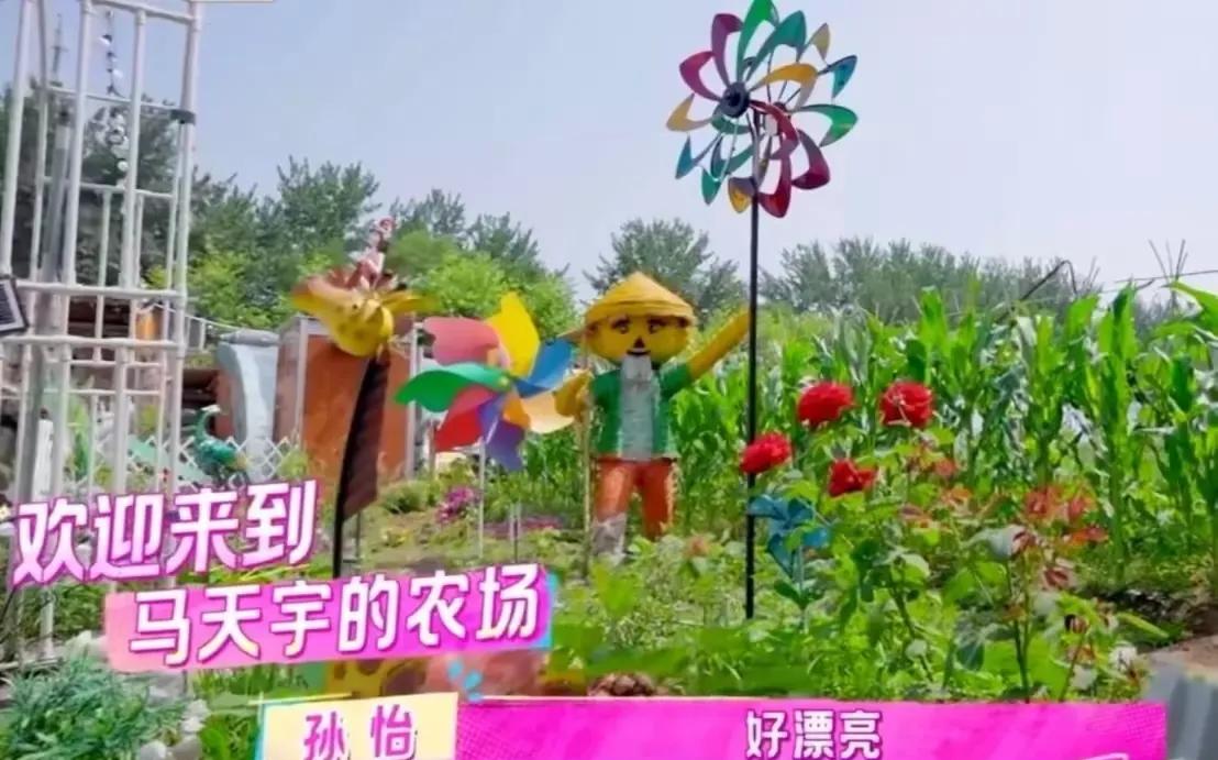 马天宇因为老了一个新闻，所以就自己养了三四百只鸡，从此只吃自己家的鸡下的蛋
孙怡