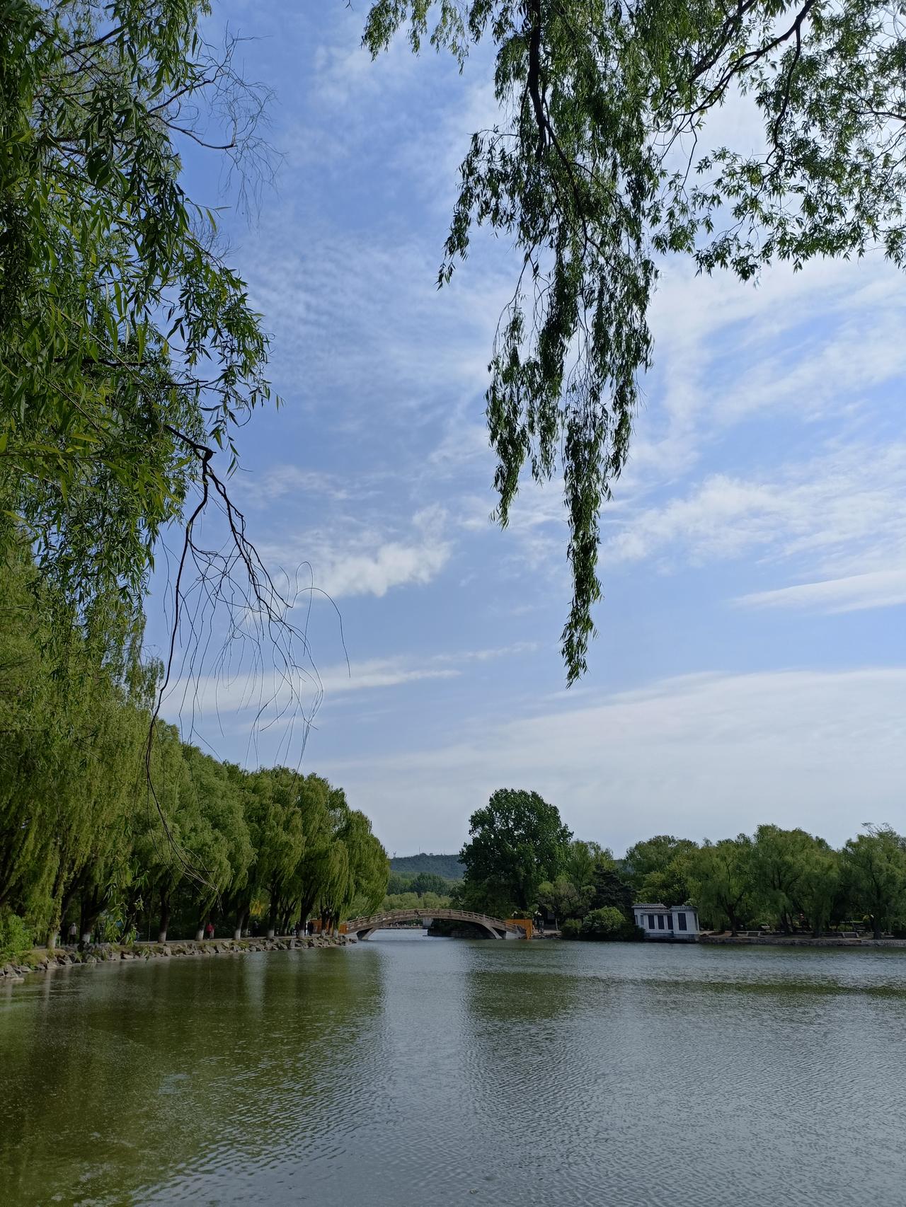天空飘着白云，那景象简直绝了。就像一大团棉花糖被随意地丢在了蓝色的画布上。
我有
