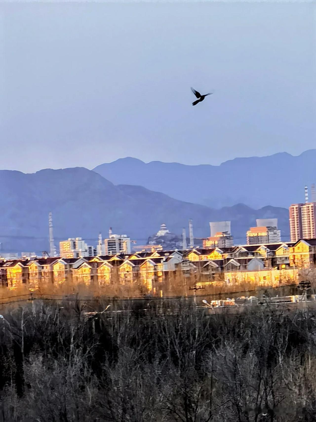 潭柘山麓，永定河畔，夕阳下楼房披上霞光。
孤雁掠过天空，自由翱翔。
摄于北京，2