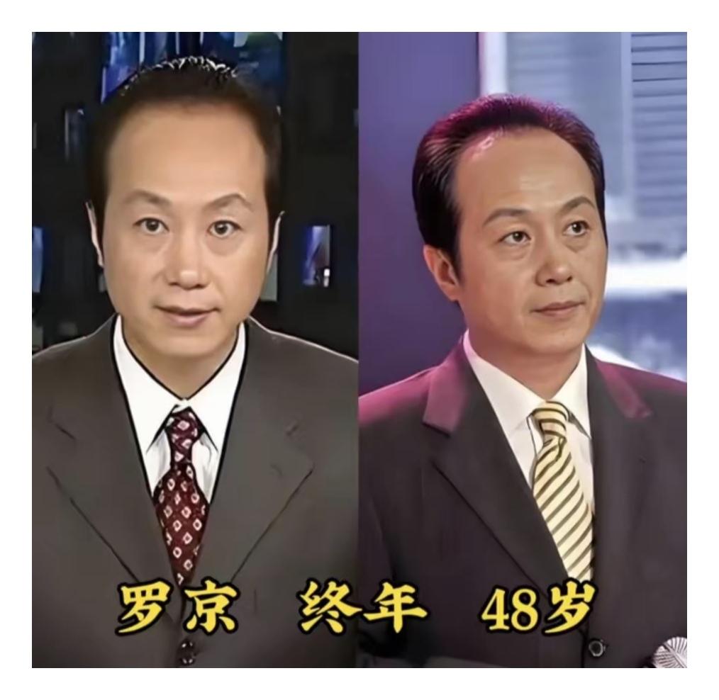 多位已故央视老牌主持人，是几代人的珍贵回忆，罗京、李咏、赵忠祥等人风采难忘，身影