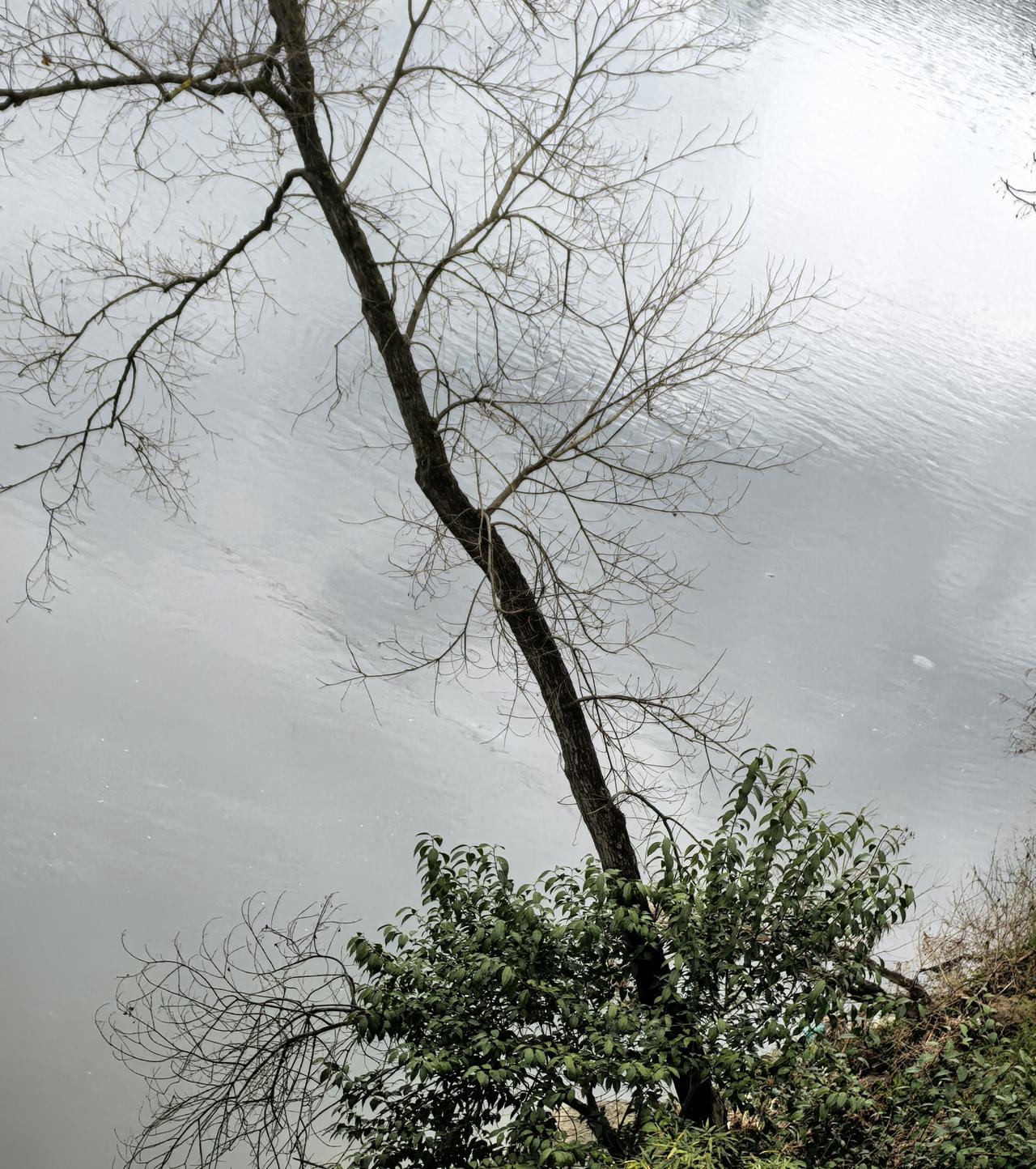天南地北大拜年水墨画般的景色，让人沉浸其中！