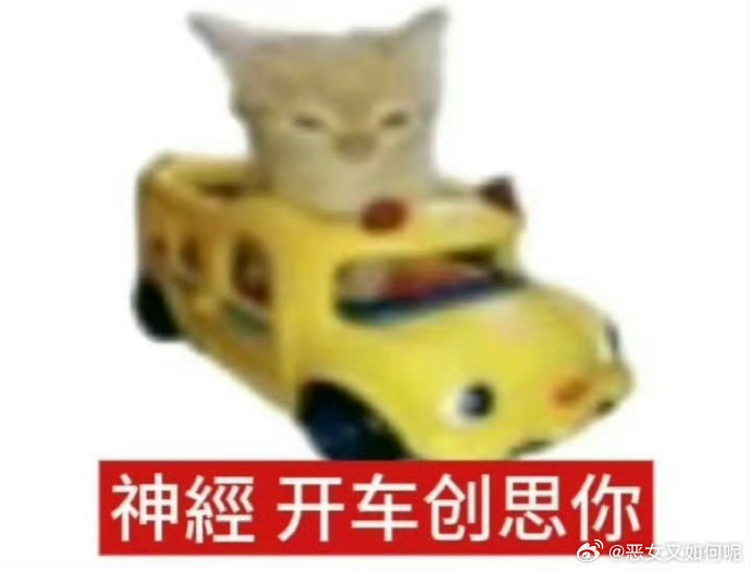 看花少的时候我就经常心疼小迪为什么这么瘦，背薄薄的像纸片一样，一直担心小迪行程这