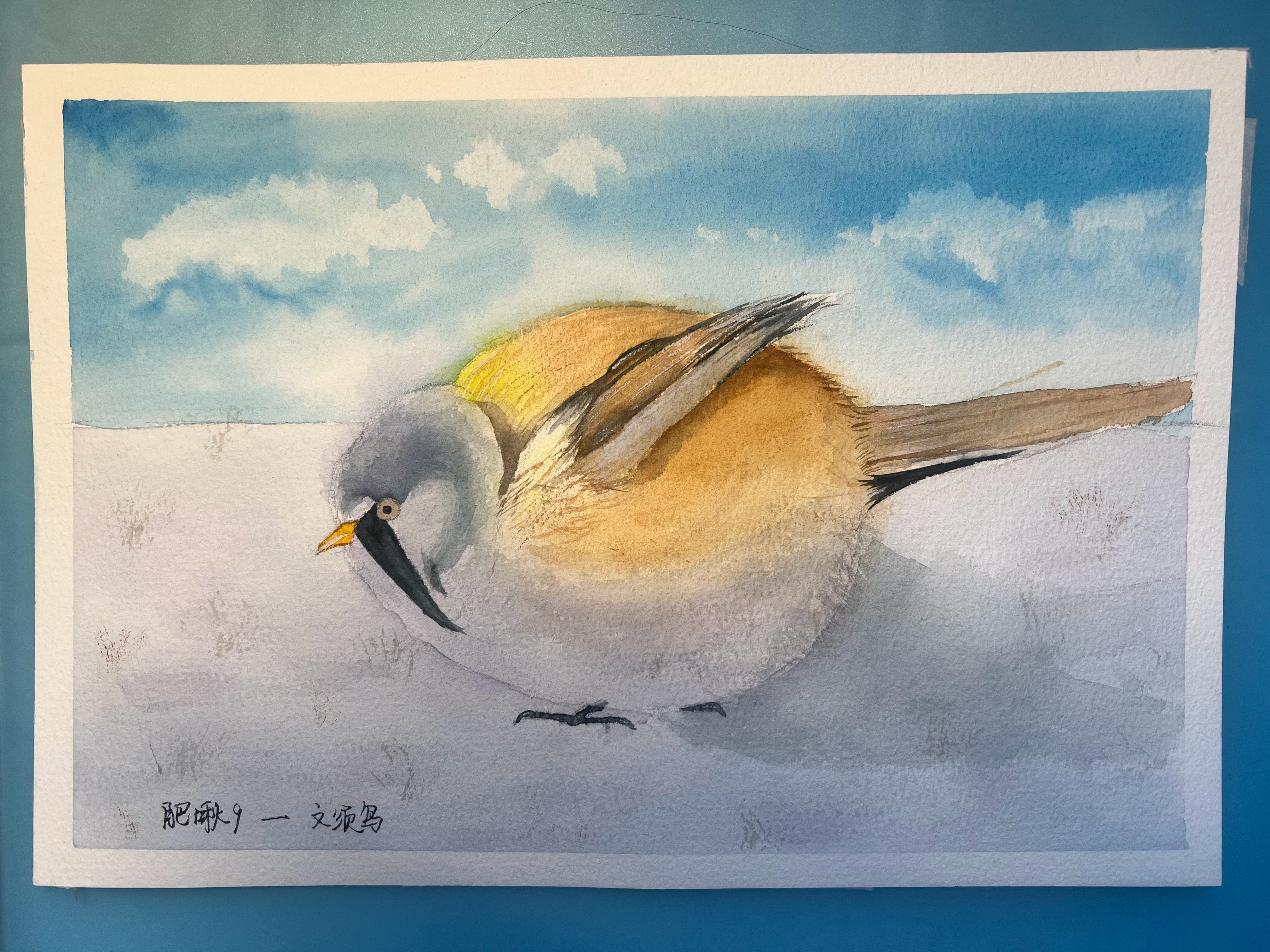 #小天才的鸟类绘画# 都是肥啾[开学季]文须雀、杂色细尾鹩莺、红头长尾山雀粉红鸲