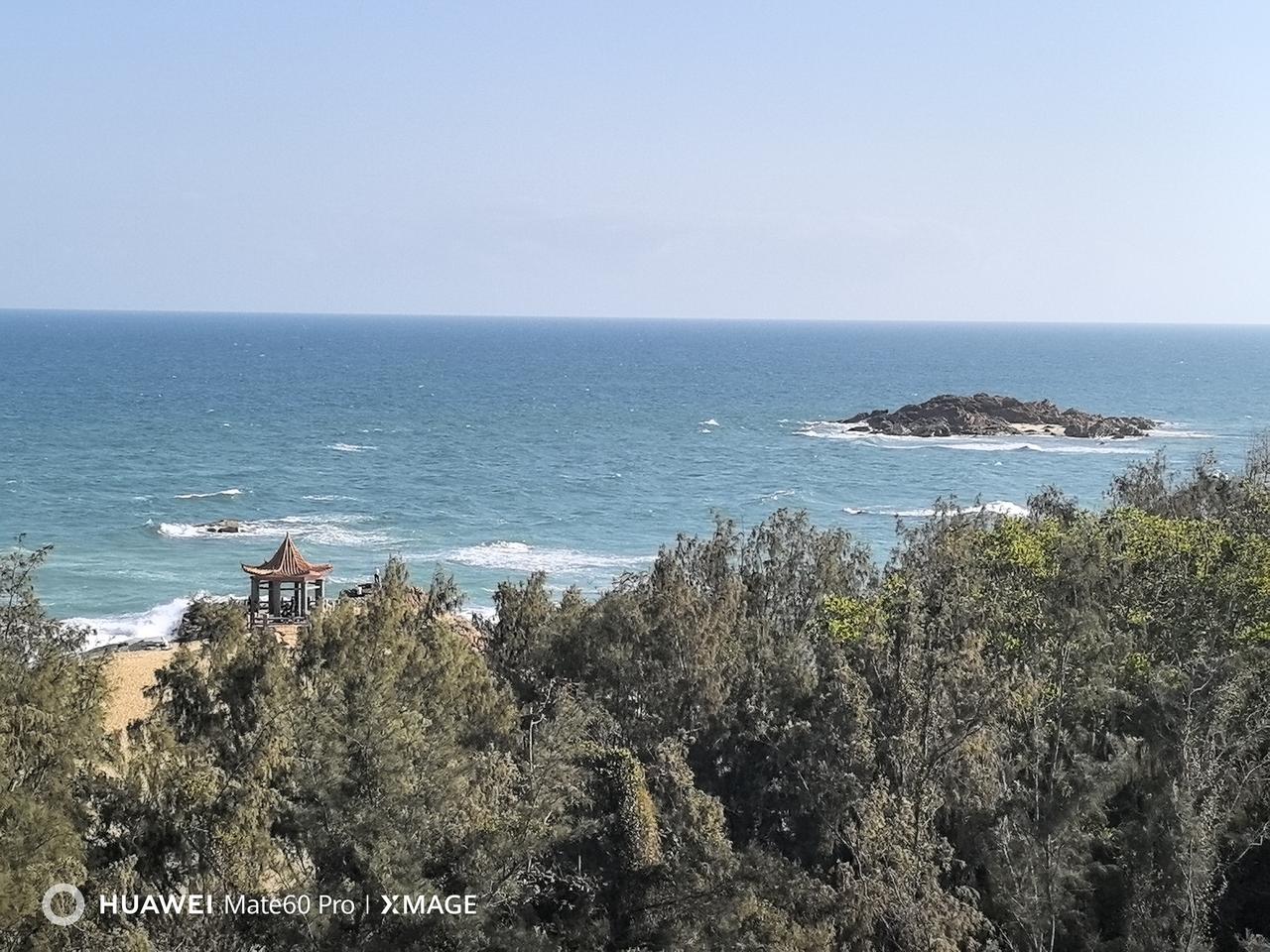 天南地北大拜年