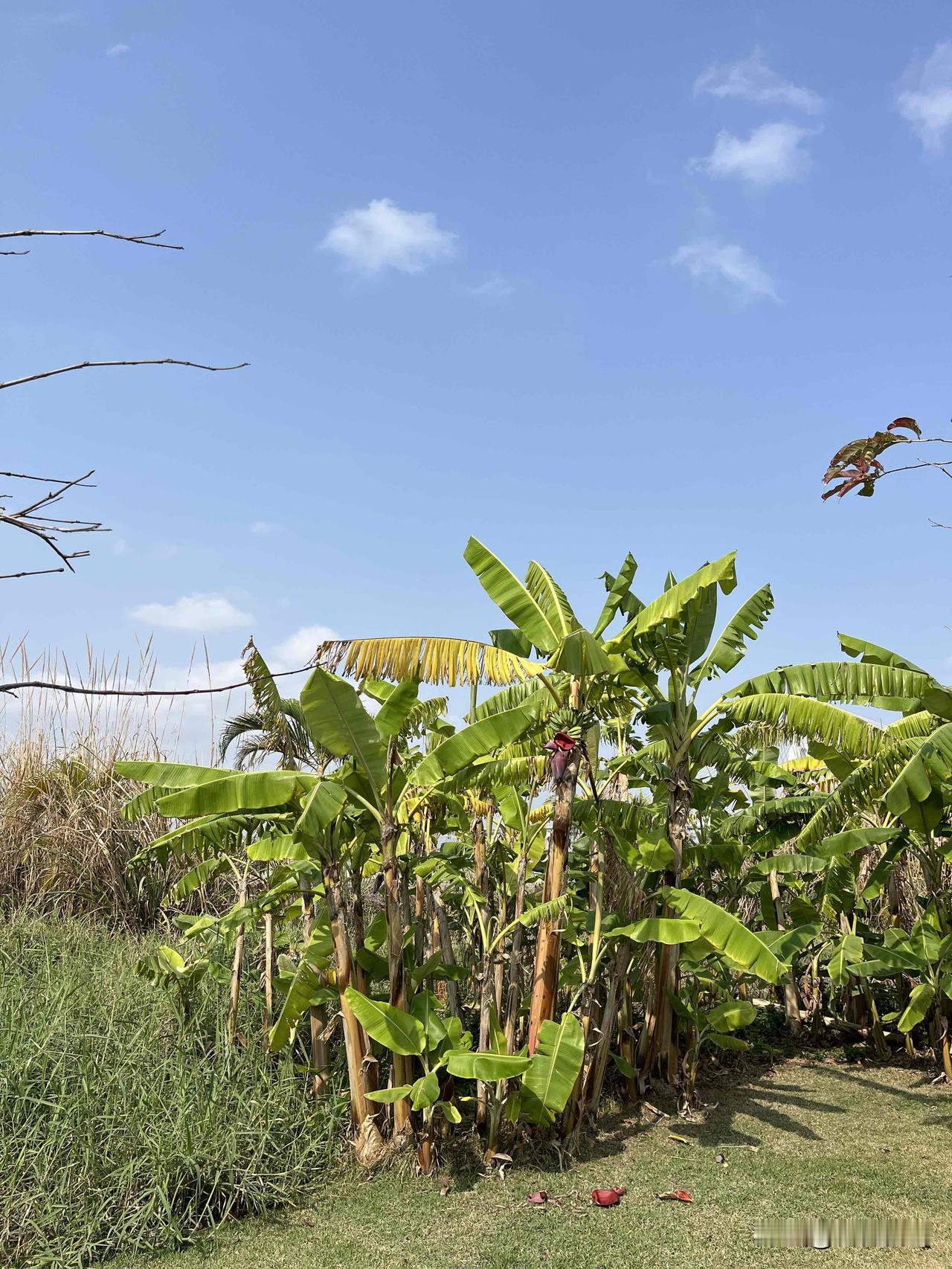 《资治通鉴》：欺负你的人，其实比你惨多了

我以前有个邻居，天天欺负人。

对门