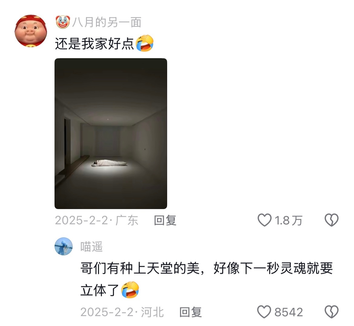 维嘉托关系才能进评论区看了一眼！当代年轻人的去家务思路早就Next level哈