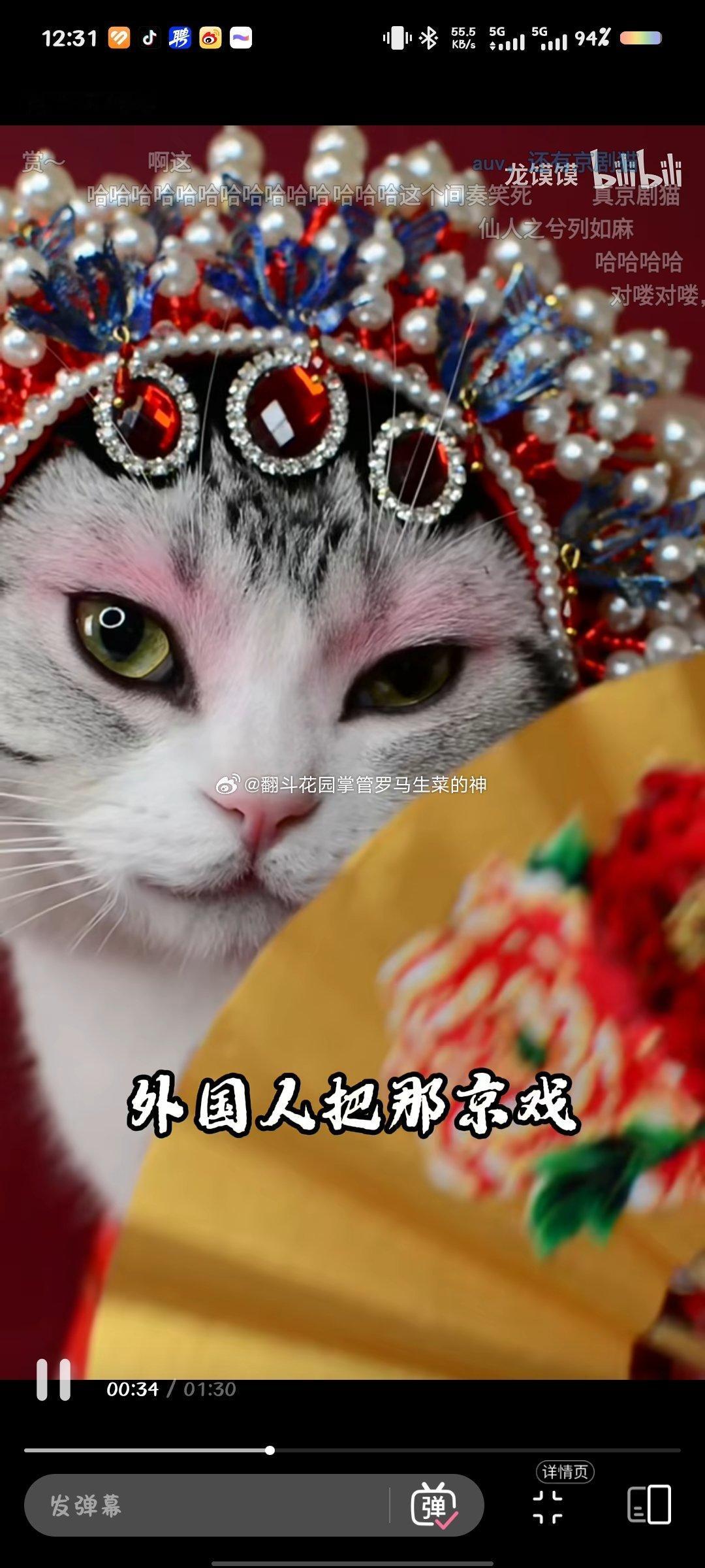 在B站刷到的，好美忍不住截图 