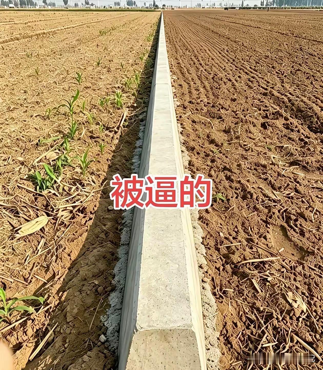 其实我觉得，农村种地就应该这样分清楚。