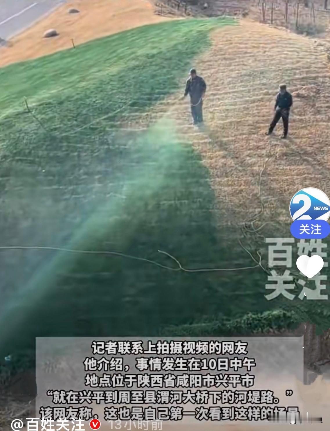 近日，陕西一地本应是枯黄的草坪，却变成了亮眼的绿色……
     原来是有人拿着