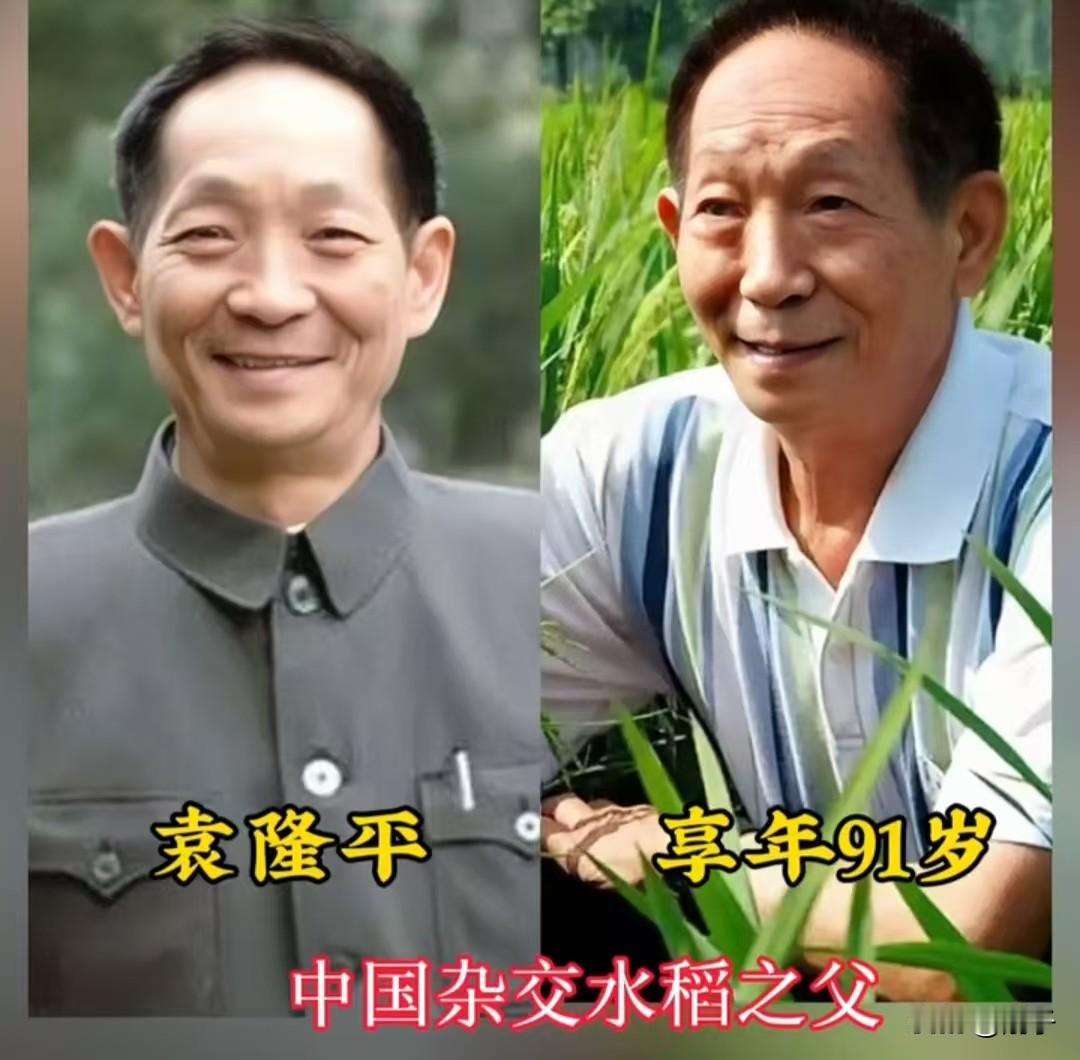 这，才是中国人最该追的星！
一张张今昔对比照，见证一代国之脊梁的岁月变迁。
程开
