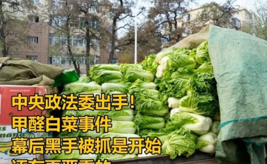 中央政法委出手！甲醛白菜事件幕后黑手被抓是开始，还有更严重的