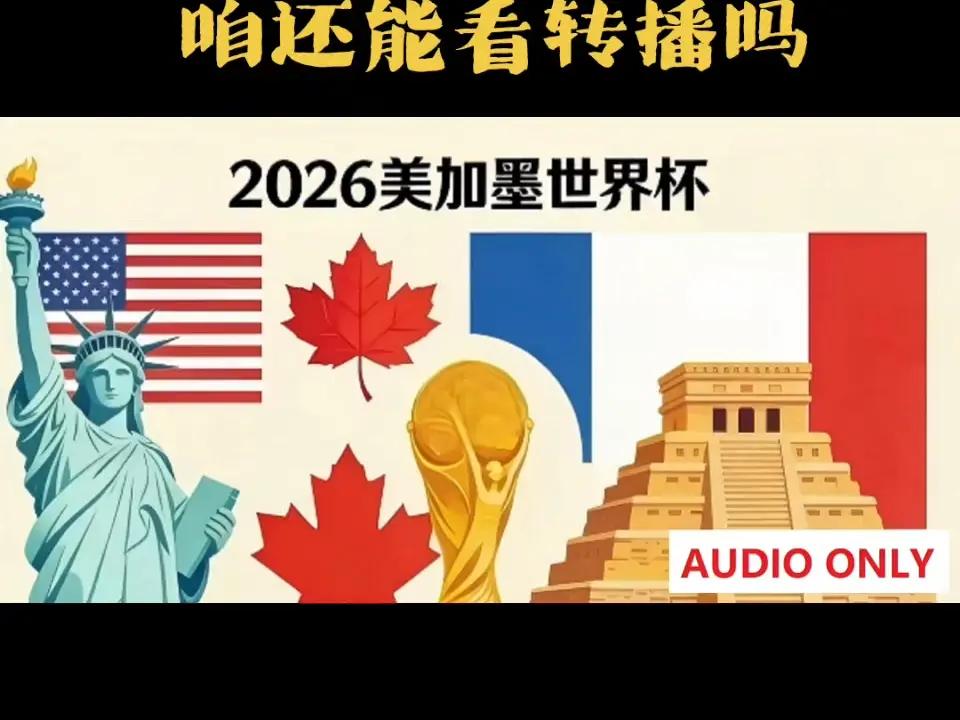 都以为央视只肯掏8000万硬刚国际足联，谁知道背地里谈的根本不是这回事。懒熊体育