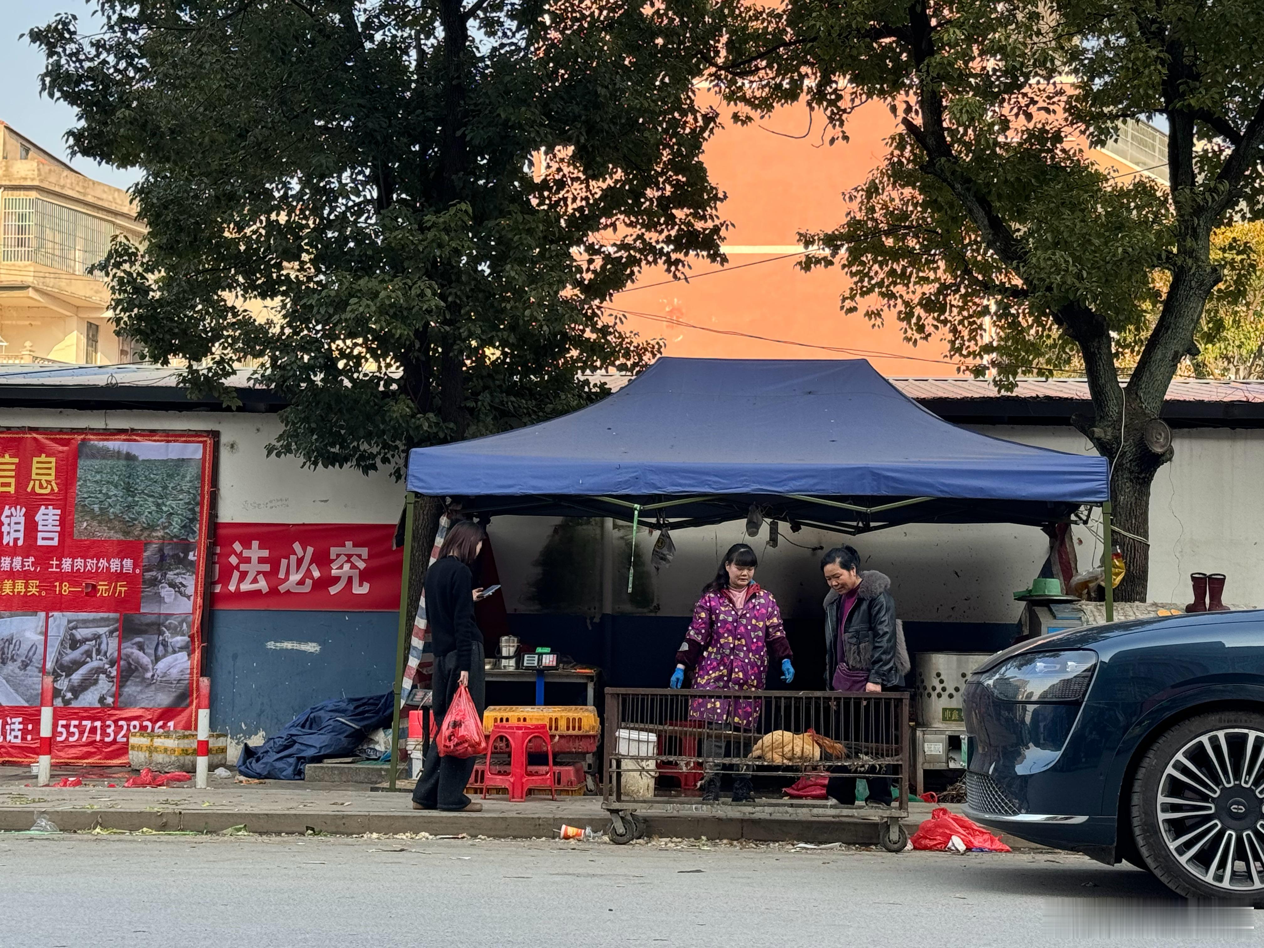 跟我妈出来买东西真的一分钱一分货不管买啥东西都喜欢跟别人谈价格买只鸡 都要谈2块