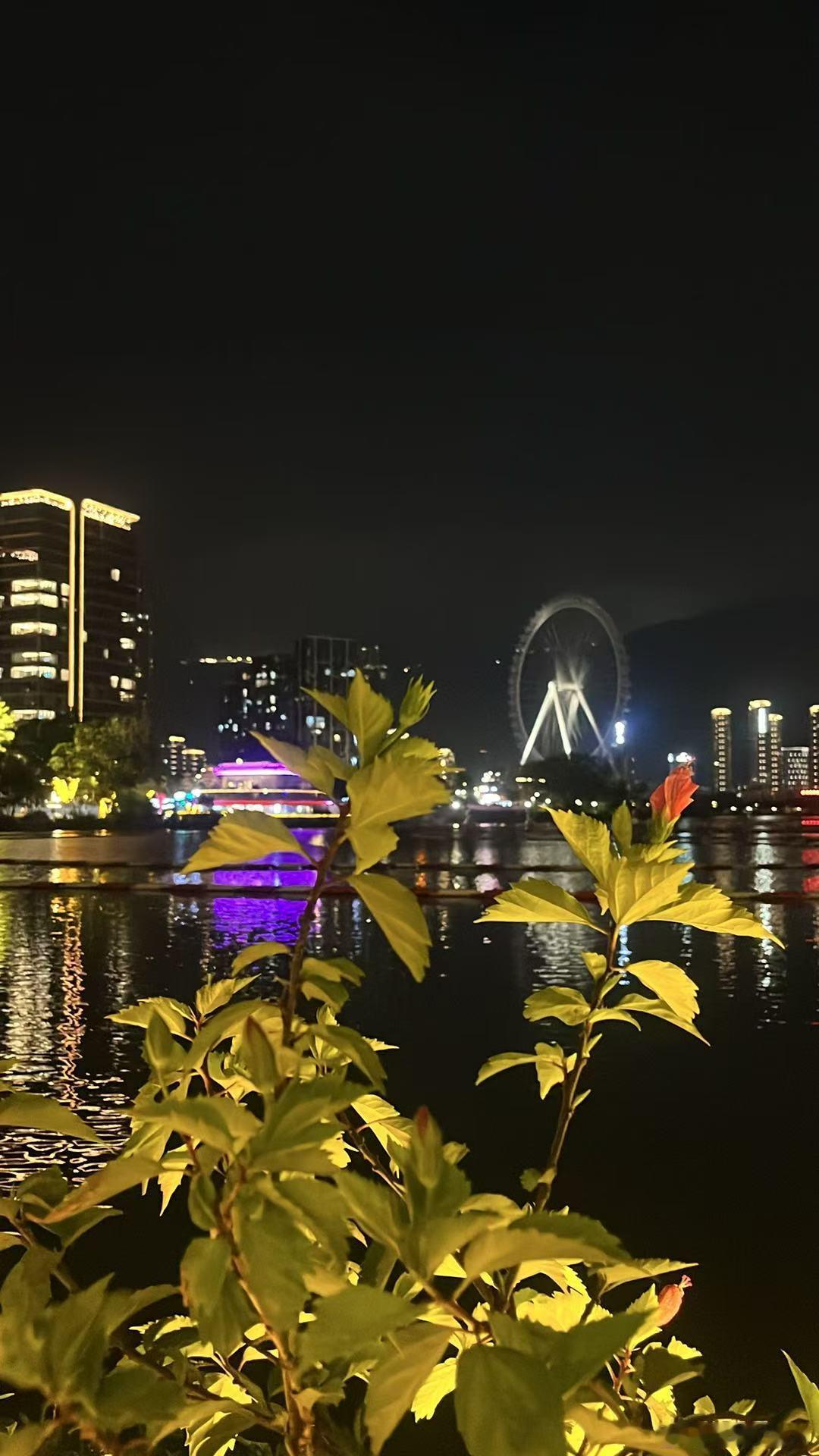 夜游晋安湖公园，草木掩映城市摩天轮，晚风轻轻拂面，城市夜景太美了。城市夜景生活碎