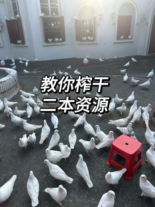 读民办二本大学，一定要榨干它所有的资源