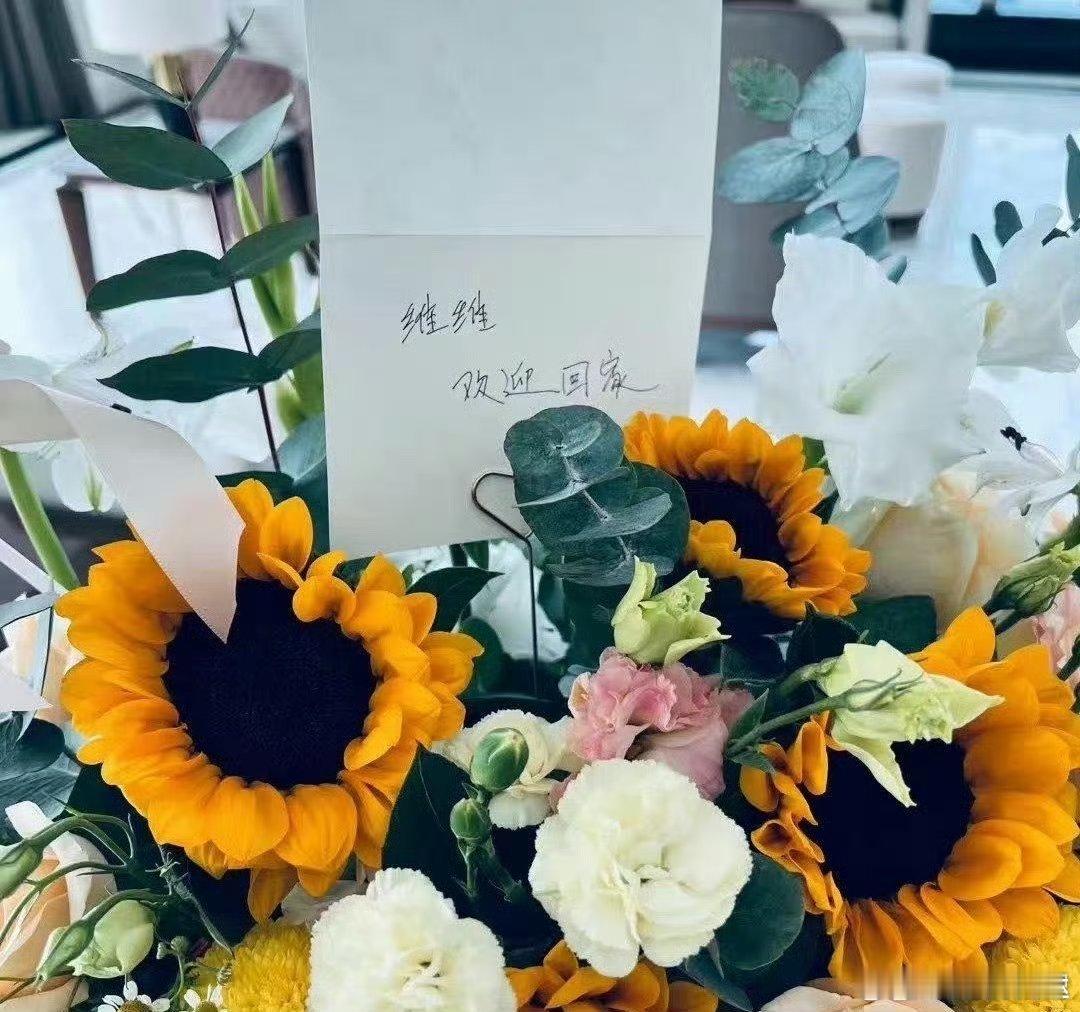 刘维谢娜师徒情好好磕 刘维谢娜师徒情自带“嗑糖滤镜”！她用幽默化解他的紧张，他用