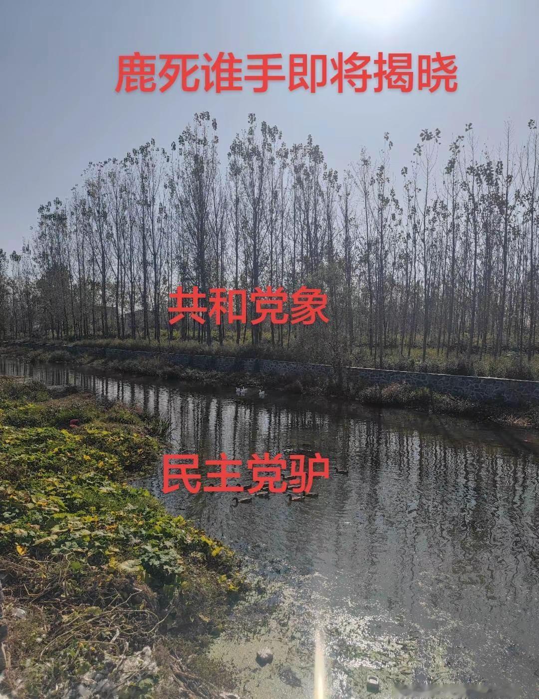 民主党vs共和党区别 河水生态治理 生态公园更是心灵栖息地 美国加征税 美国宪法