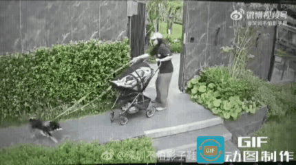危险来了，先抱住狗狗还是先抱住孩子，这个妈妈给出了一个与众不同的选择！

视频里