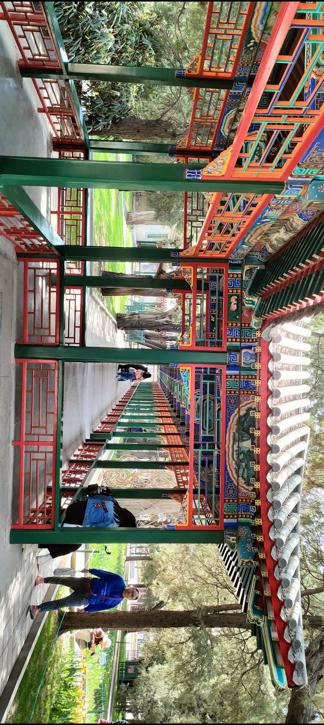 探访古色古香的庭院，感受传统建筑的魅力。