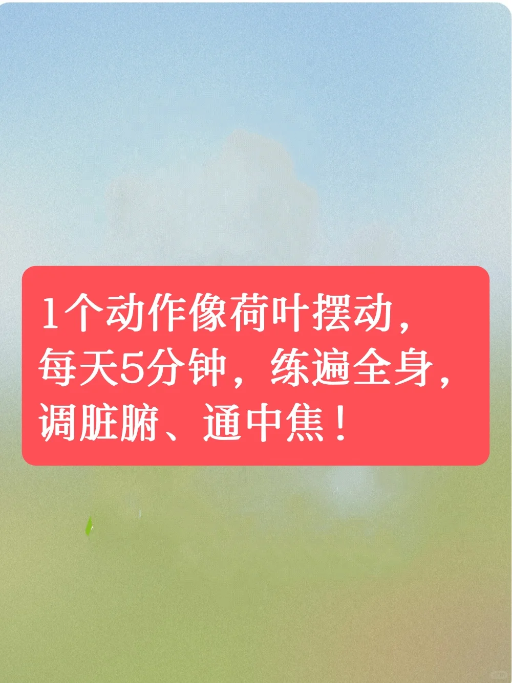 “荷叶摆动”每天 5 分钟，练遍全身，身体