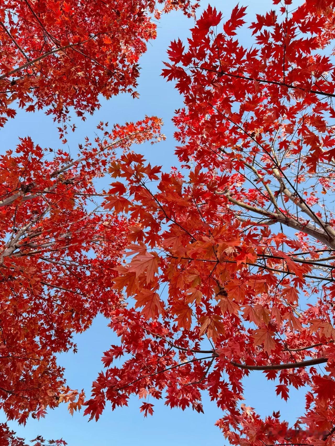 生而为人，别太自以为是。郑板桥有一副名联：“虚心竹有低头叶，傲骨梅无仰面花。”做