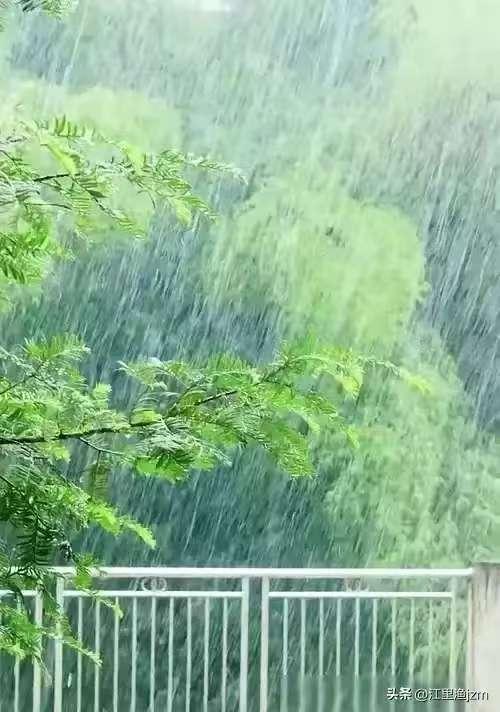 水仙子·静心听雨
沉云敛尽晚晴光，
细雨无声落野塘。
轻丝漫织烟罗帐，
隔绝尘事
