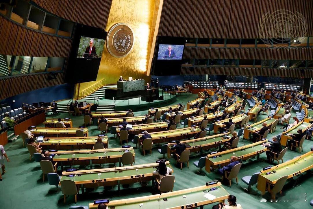 联合国不站在正义一方，或不敢站在正义一方，态度模糊，不敢为正义发声。积极缴纳联合