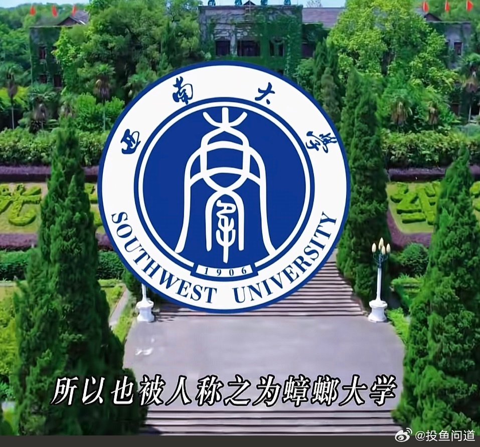 逗个乐。确实像。 