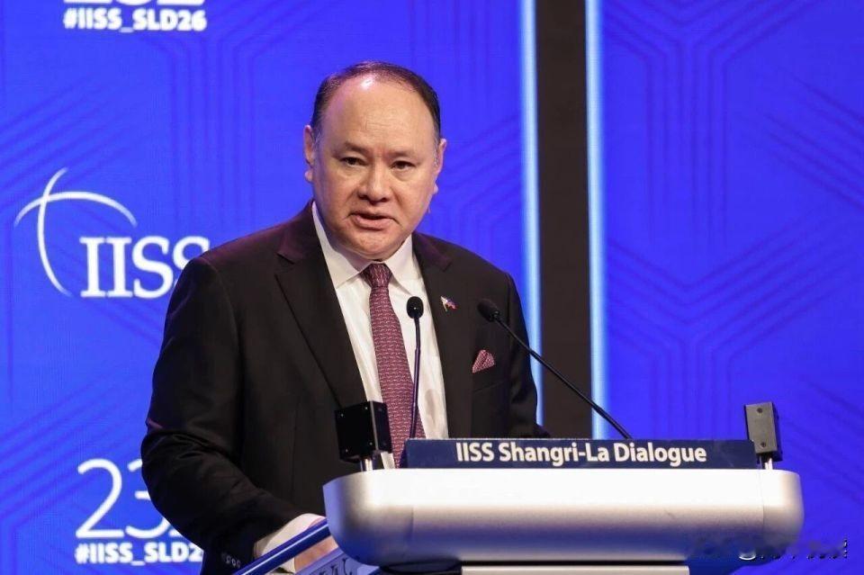 菲律宾防长拼命反华，却不知道自己的“根”在哪儿？

反华这门生意，特奥多罗大概是